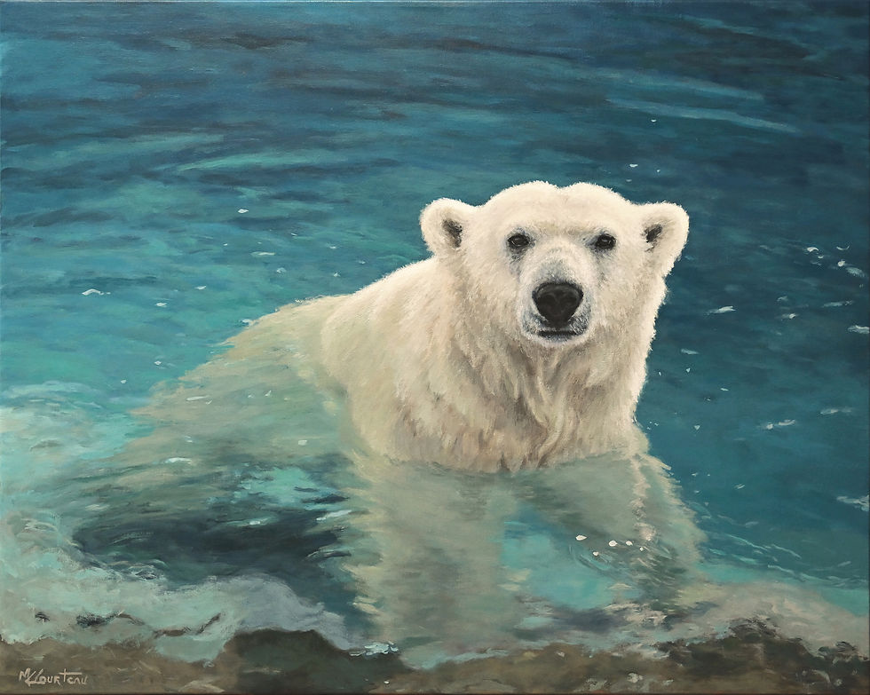 Où est passé mon glacier 24X30
