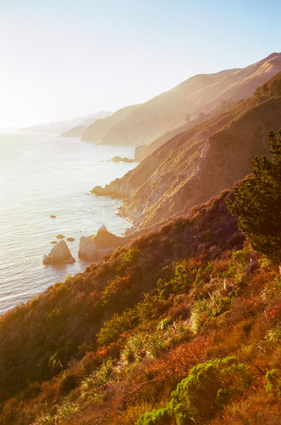 Thumbnail: Postcard Pack of 5: Big Sur
