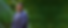 website graphics-2 (3).png