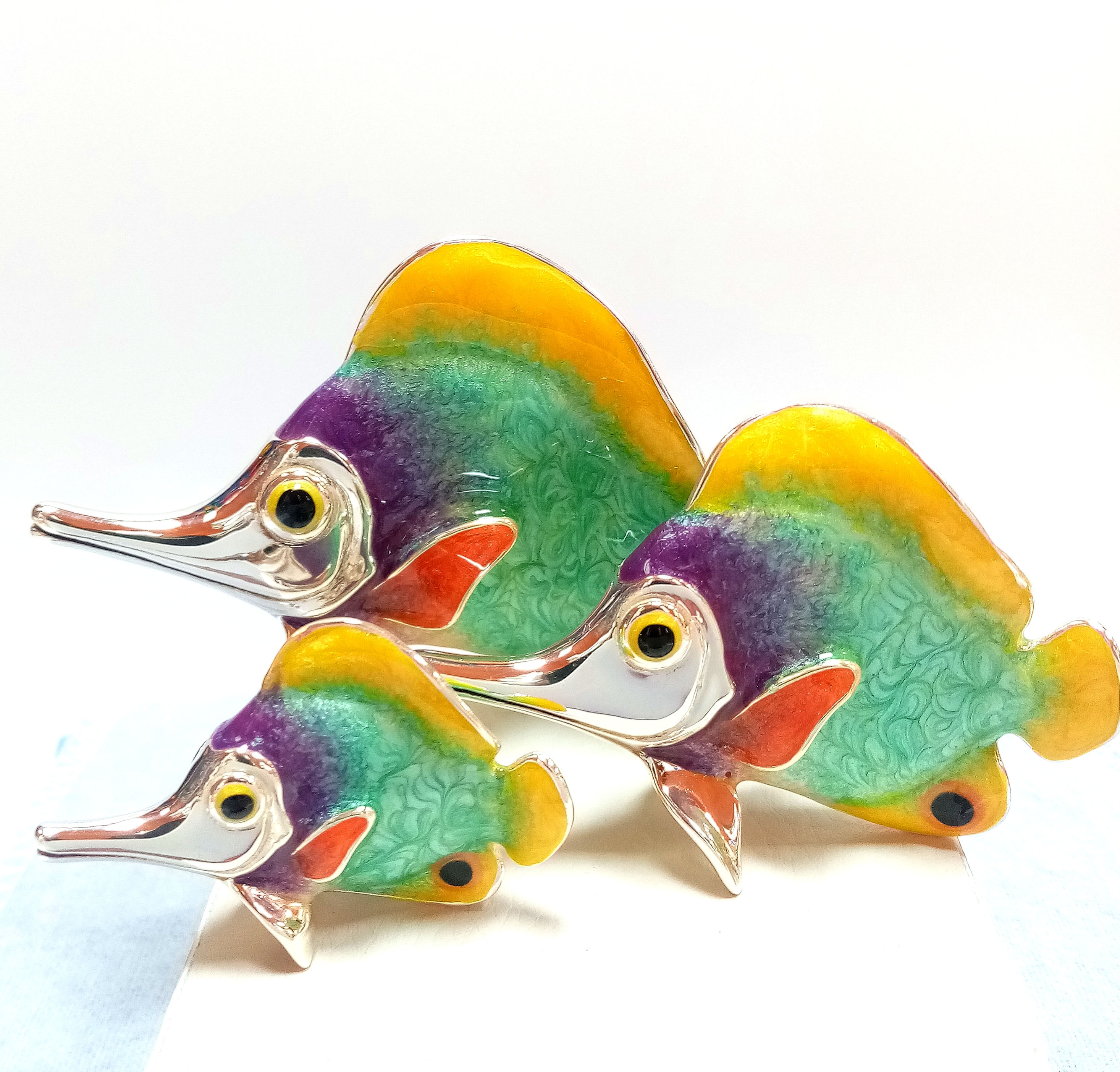 Butterfly Fish Family