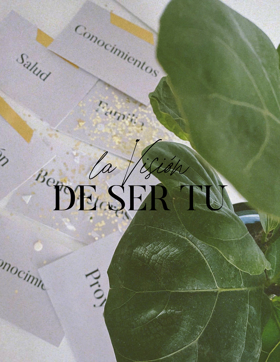 La visión de ser tu