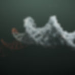 dna01 (00159)_edited