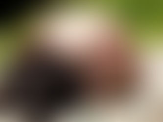 How to store and care for your down sleeping bag - a story!