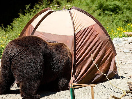 How to store and care for your down sleeping bag - a story!