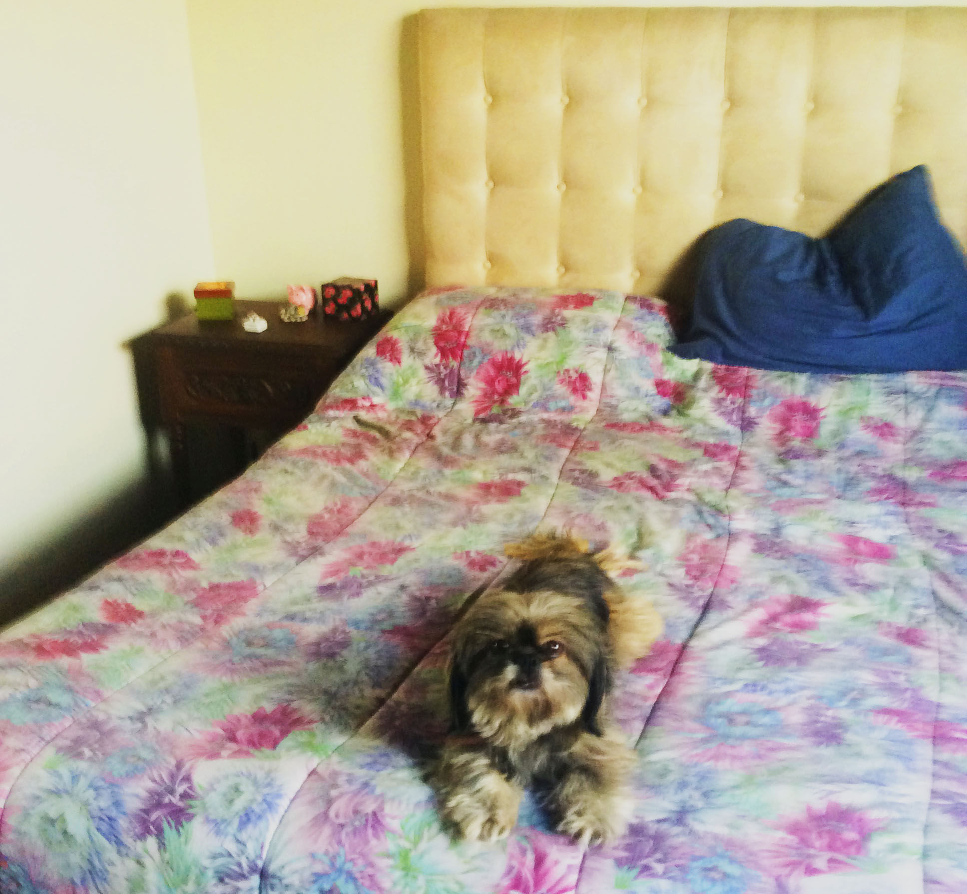 COMPARTIDA: Depa con jardín en Urb Parque Primavera