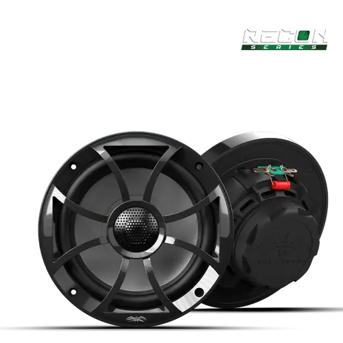 RECON 6-BG