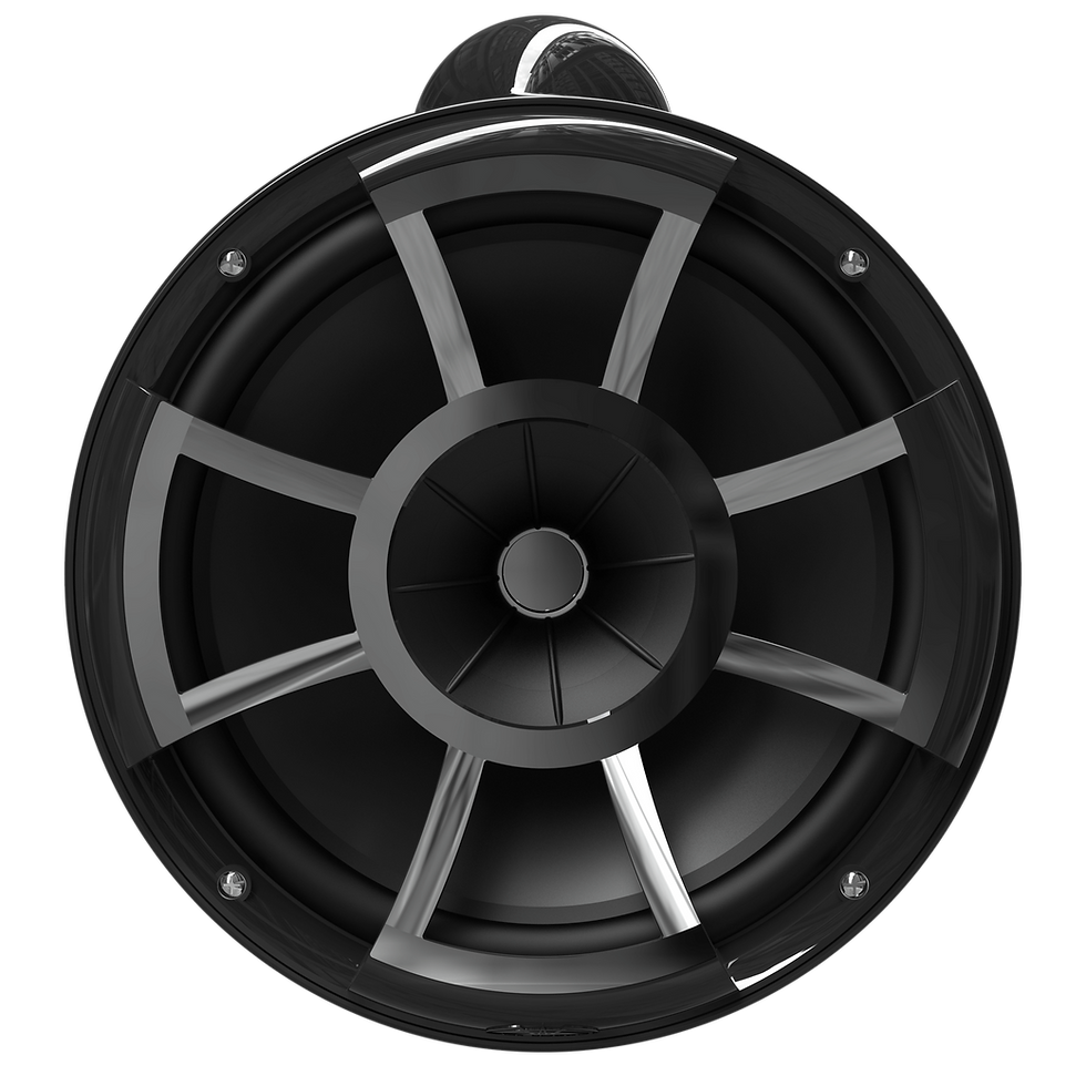 Thumbnail: Wet Sounds REV10 Black V2