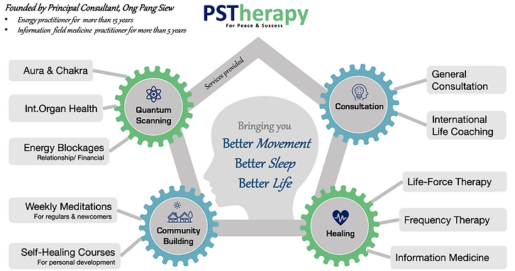 PST overview (final 2021).png
