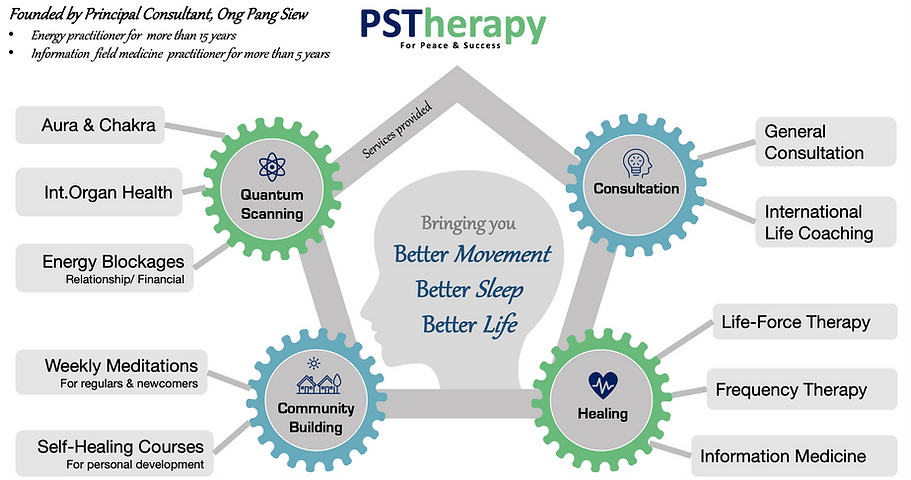 PST overview (final 2021).png