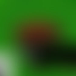 The Sacrifice Assumption: Compelled to Influence Others