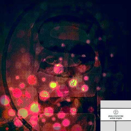 The Practical Importance of Individuality in Everyday Life