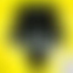 System of Illusion -- Reality as Application (By Igal Shenderey)