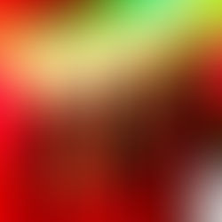 Peer Pressure, Evolution and the Future