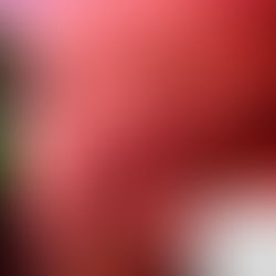 On Forgiveness -- Why It's Hard To Forgive