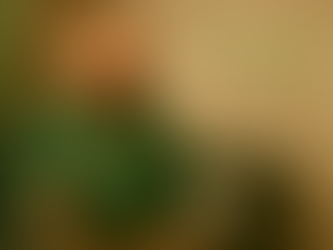 “3D illustration of Buddy, the Nature’s No.1 mascot, sitting on a cosy green sofa in a softly lit room. He’s wearing a green hoodie with the Nature’s No.1 logo, holding a white mug and a dropper bottle, with text on the wall reading ‘What is CBG? — The Mother Molecule of Cannabinoids’.”