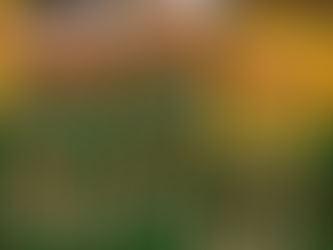 Apa Aktiviti Tambahan di BB?