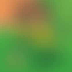 “Belajar tak semestinya kena duduk diam dalam kelas. Kadang bila anak berlari sambil ketawa, di situlah mereka belajar paling banyak.”