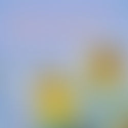 Ramai silap faham tentang “lelaki pelindung”.