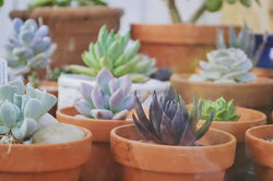 Something about a group hang..jpg