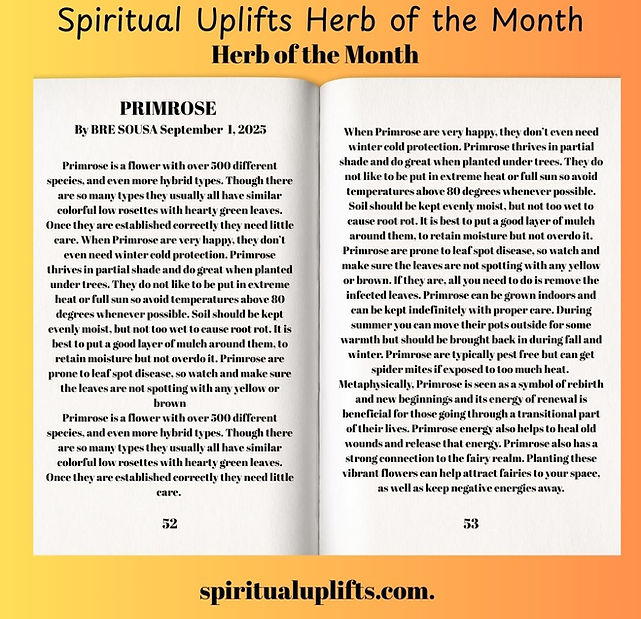 Dandelion that bright, cheerful flower you probably pickedas a child and offered as a trea