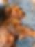 IMG_1563.png