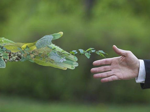 LEI GERAL DO LICENCIAMENTO AMBIENTAL