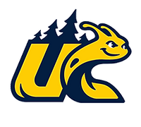 111-1.png
