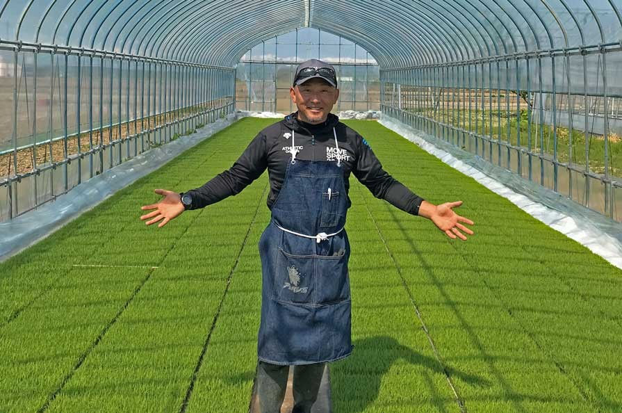 Rice farmer in Yamagata Prefecture