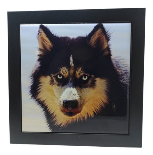 - Azulejo Personalizado Com Foto De Animais 15x15 Moldura