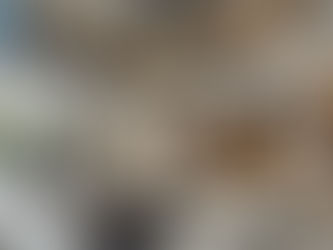 Simplex-Duplex Homes: The Smart Blend of Luxury and Affordability in Urban Living