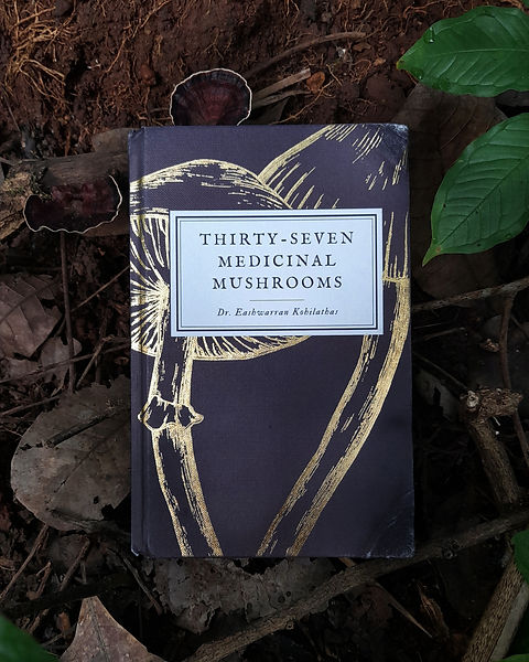 medicinal mushrooms book