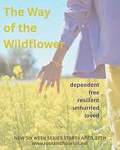 Wildflower-2.png