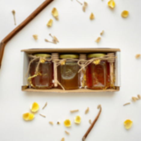 Honey Gift Pack - Set of 3 - Wildflower, Blueberry/Raspberry & Orange Blossom -