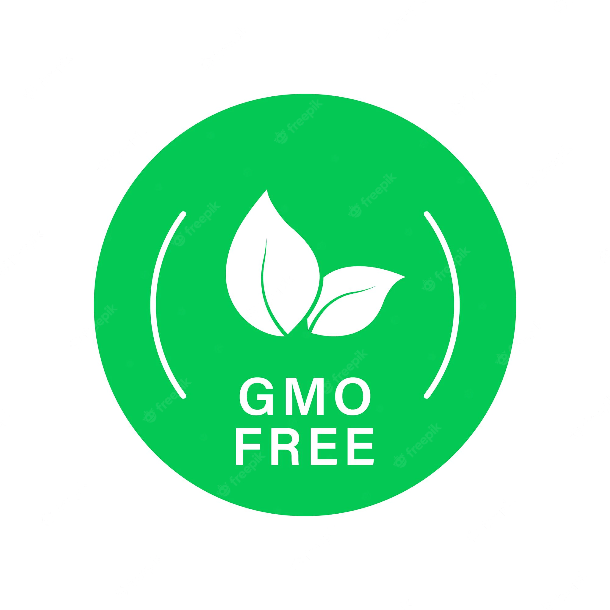 gmo-free-green-silhouette-icon-non-gmo-label-only-natural-organic-product-leaf-sign-health