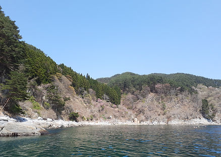20220425_113901.jpg