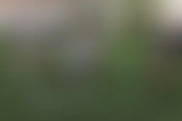 TROPICAL 7s INCLUDED IN USA RUGBY'S MEN' 7s TALENT ID PATHWAY