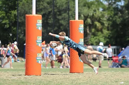 2026 LINE-UP BEGINS TO TAKE SHAPE