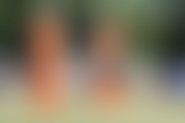 2026 LINE-UP BEGINS TO TAKE SHAPE