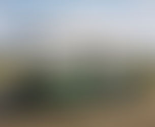 RUGBYPASS TV TO BROADCAST NEW TROPICAL 7s LIVE SHOW