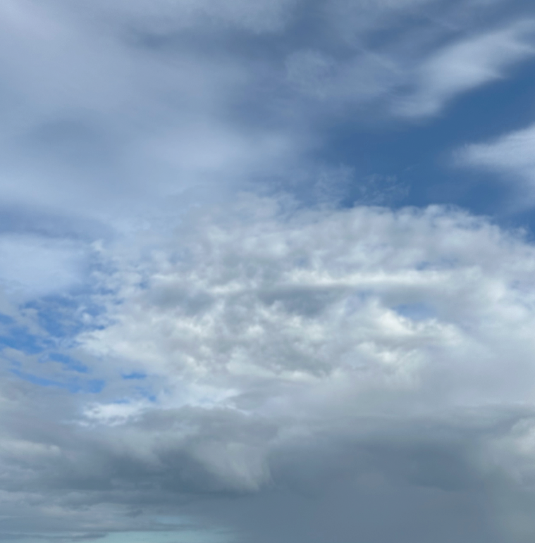 Untitled design-10_edited_edited_edited.png