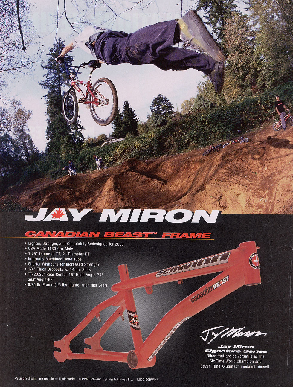 JAY MIRON