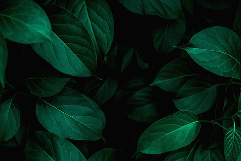 AdobeStock_300572424.jpeg