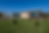 Screenshot 2025-03-05 at 2.10.57 PM.png