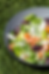 IMG_9961.png