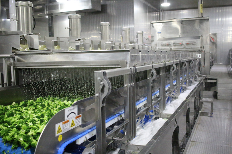 Rainfall Chiller for Vegetables 