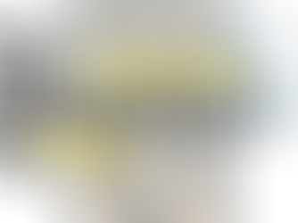 The new Precision Force Dryer represents a step change in kibble drying technology.