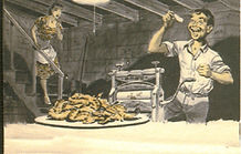 Shrimp Peeling Ideal Laitram Machinery