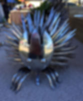 IMG_0312.jpeg