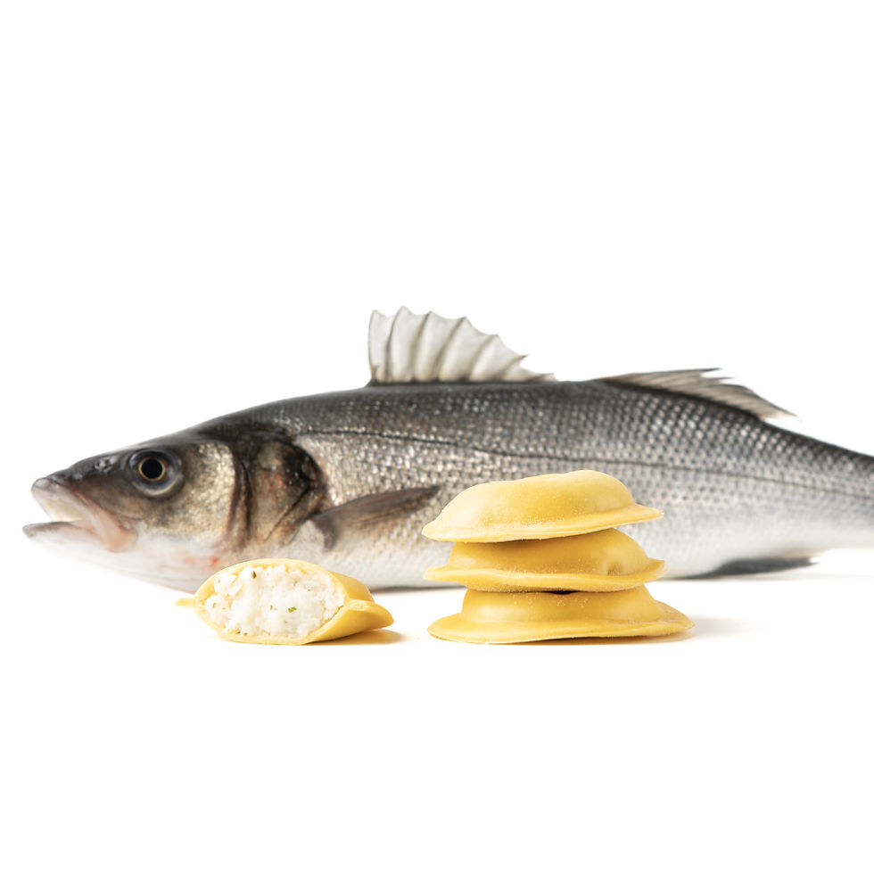 Bottone Seabass (Branzino)