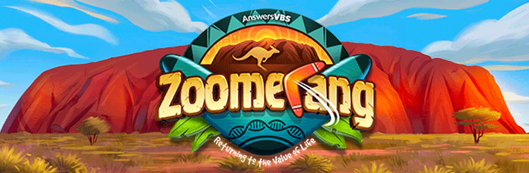 Zoom